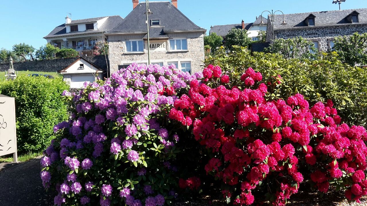 Les Rhododendrons devant la Mairie au départ du sentier-mai 2020