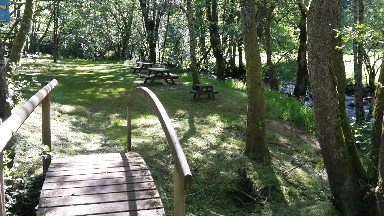 petit pont a l'arrivée de la clairière