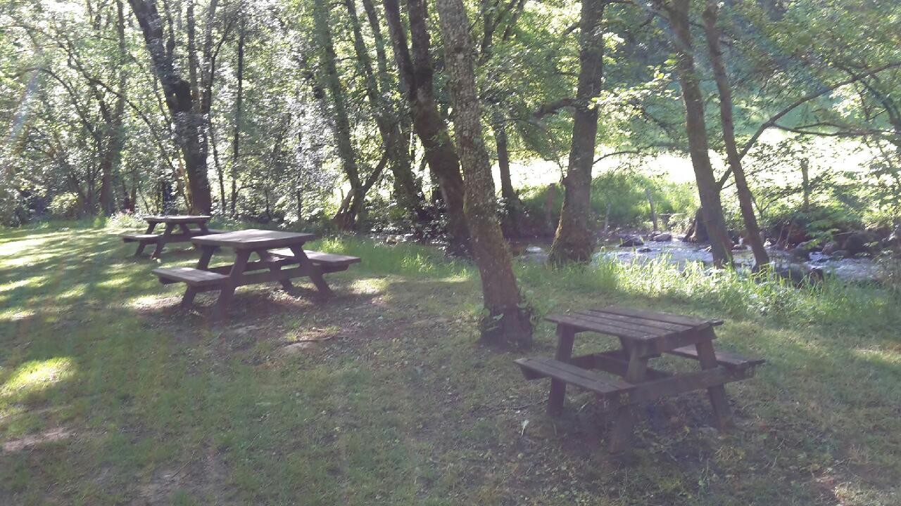 aire de pique nique dans la clairière