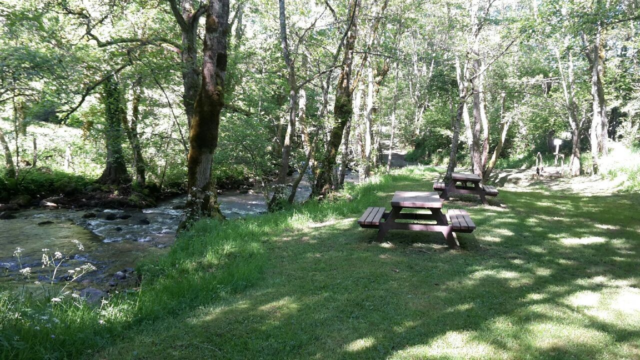 aire de pique nique dans la clairière